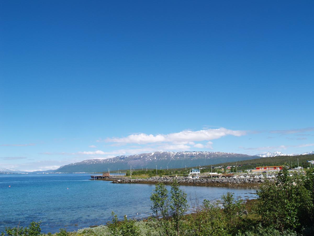 Vikran Vacation: Sea Fishing And Northern Lights Dış mekan fotoğraf