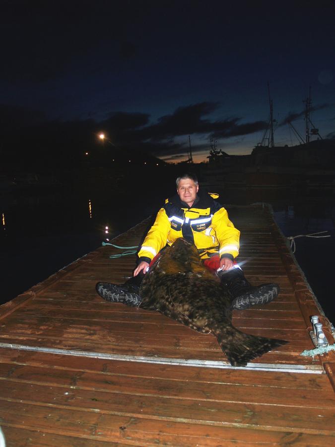 Vikran Vacation: Sea Fishing And Northern Lights Dış mekan fotoğraf