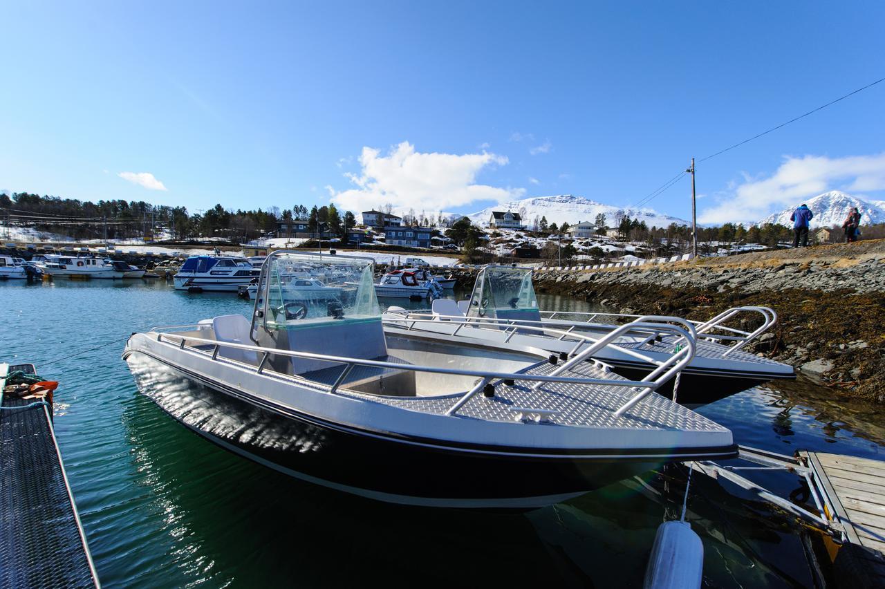 Vikran Vacation: Sea Fishing And Northern Lights Dış mekan fotoğraf